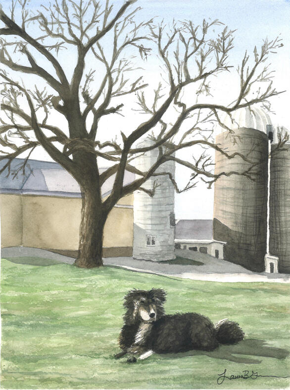 Farm Dog, 2024