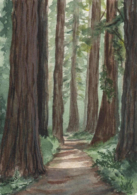 Watercolor on 100% Cotton Paper, 2025